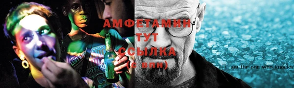 индика Абаза