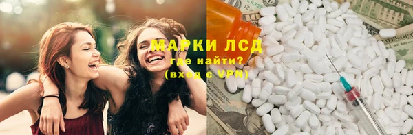 индика Абаза