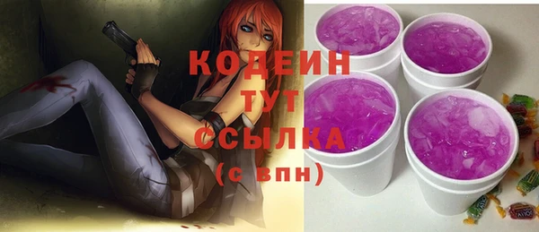 индика Абаза