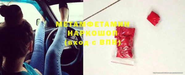 индика Абаза