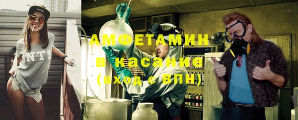 индика Абаза