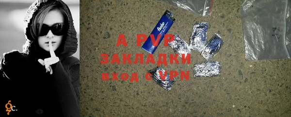 индика Абаза