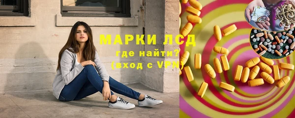индика Абаза