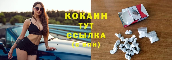 индика Абаза