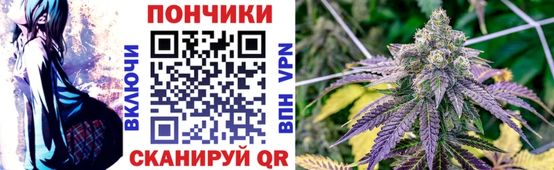Конопля планчик  Алдан 